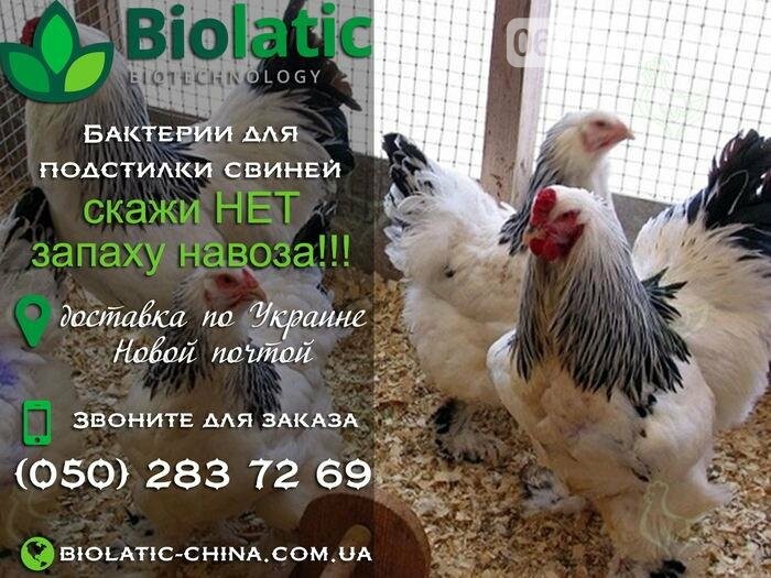 Экономичный обогрев курятника, фото-1 Экономичный обогрев курятника, фото-1