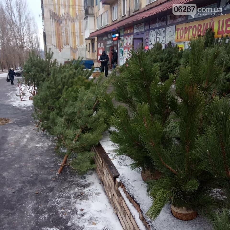 Свято наближається: Які ціни на ялинки у Дружківці? (ФОТО), фото-13 Свято наближається: Які ціни на ялинки у Дружківці? (ФОТО), фото-13