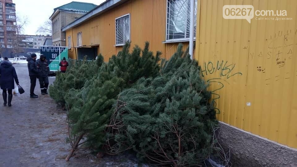 Свято наближається: Які ціни на ялинки у Дружківці? (ФОТО), фото-9 Свято наближається: Які ціни на ялинки у Дружківці? (ФОТО), фото-9