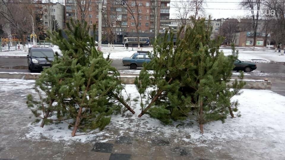 Свято наближається: Які ціни на ялинки у Дружківці? (ФОТО), фото-8 Свято наближається: Які ціни на ялинки у Дружківці? (ФОТО), фото-8