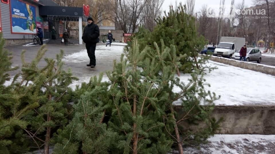 Свято наближається: Які ціни на ялинки у Дружківці? (ФОТО), фото-12 Свято наближається: Які ціни на ялинки у Дружківці? (ФОТО), фото-12