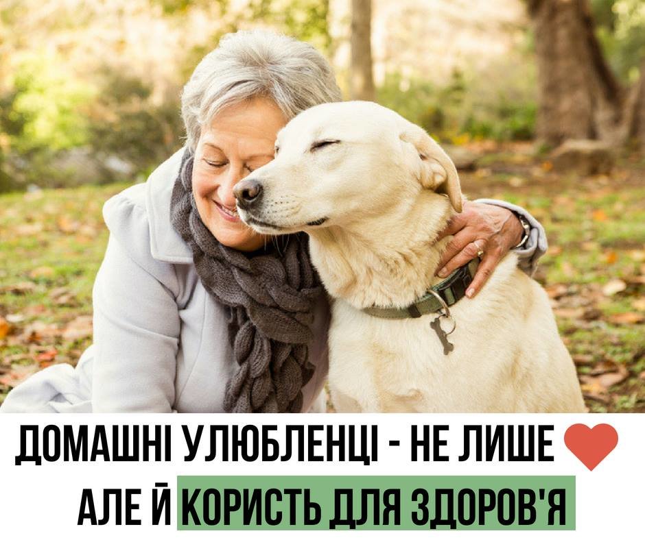 Котики і собачки можуть покращувати здоров'я. Уляна Супрун..., фото-1 Котики і собачки можуть покращувати здоров'я. Уляна Супрун розказала про користь домашніх тварин, фото-1