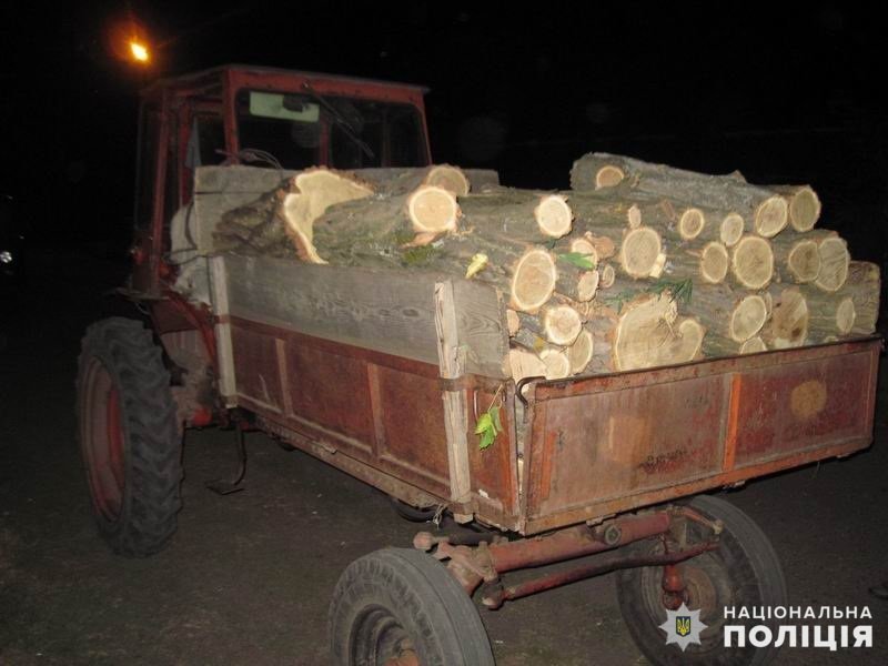 Арестовали за вырубку акаций, фото-1 Арестовали за вырубку акаций, фото-1