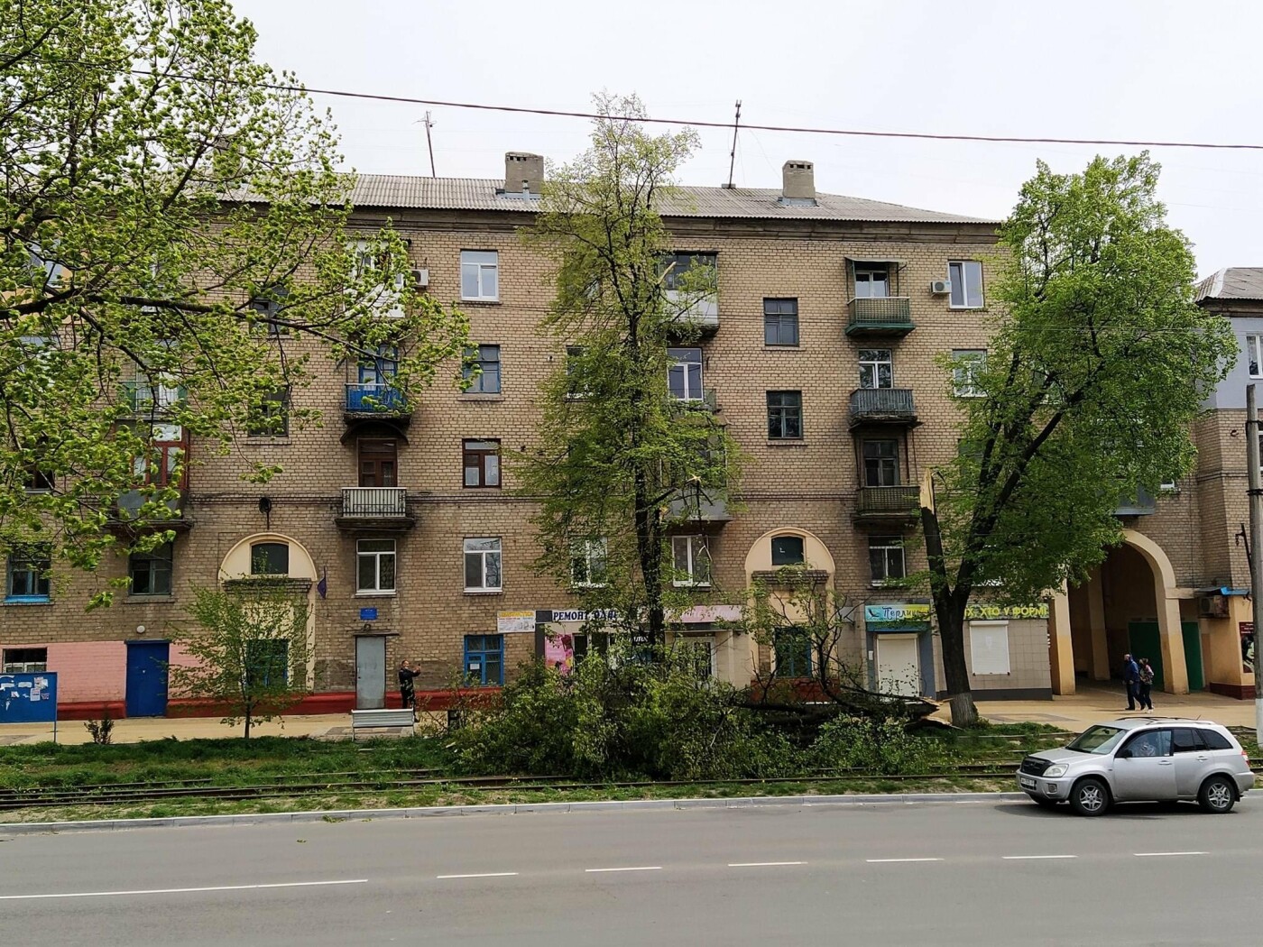 У Дружківці за два дні від вітру постраждали два дерева, фото-1 У Дружківці за два дні від вітру постраждали два дерева, фото-1
