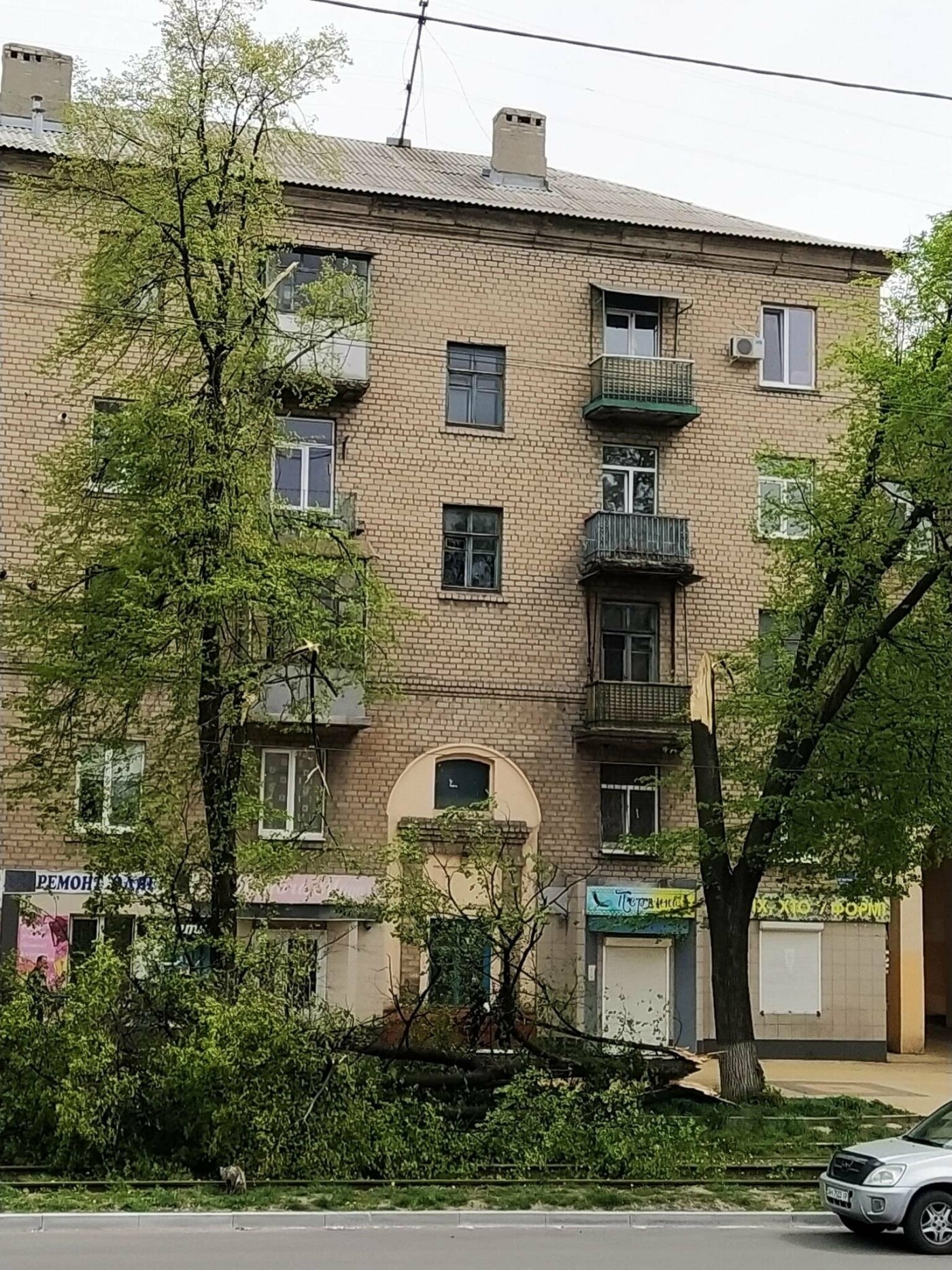 У Дружківці за два дні від вітру постраждали два дерева, фото-2 У Дружківці за два дні від вітру постраждали два дерева, фото-2