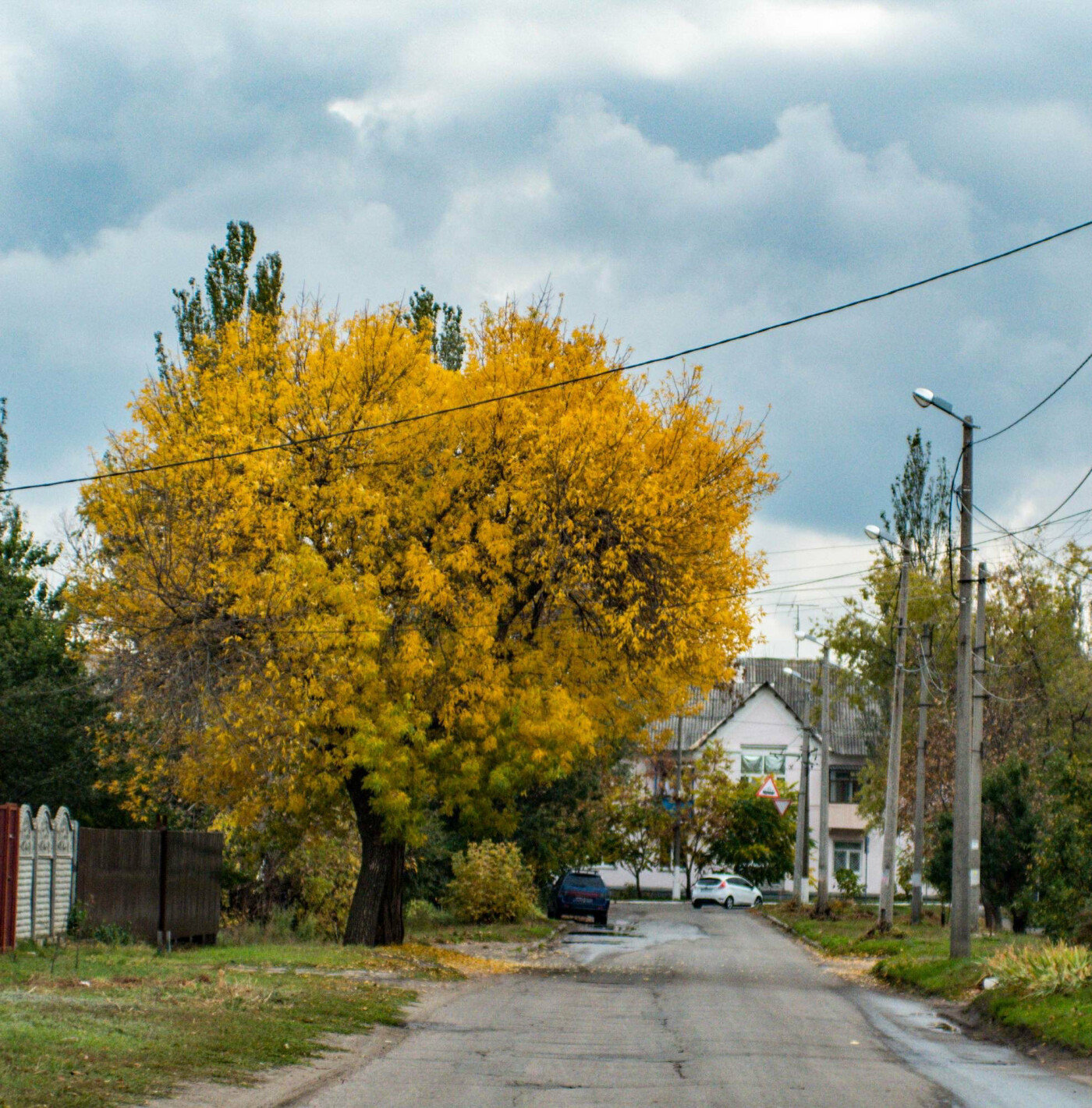 Де восени полюбляють робити фотосесії мешканці Дружківки , фото-5 Де восени полюбляють робити фотосесії мешканці Дружківки , фото-5