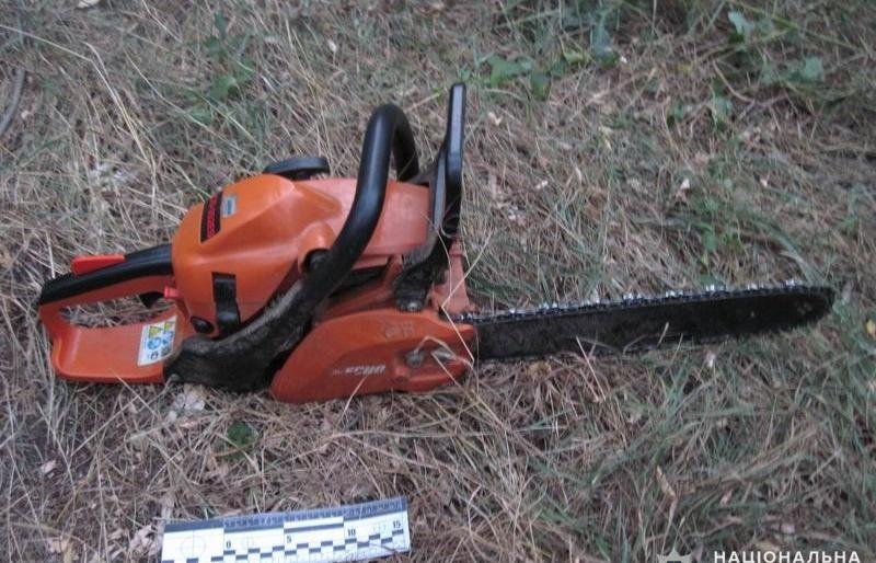 Арестовали за вырубку акаций Арестовали за вырубку акаций, Оксана Измайлова