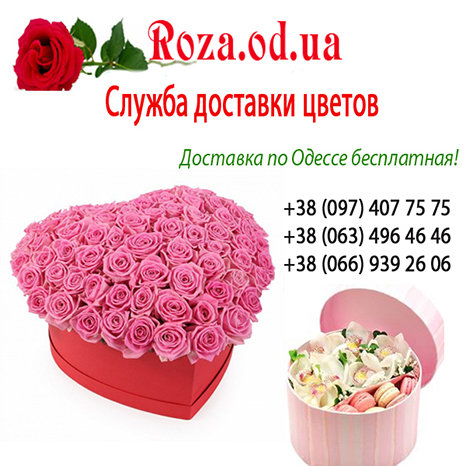 Доставка цветов по Одессе от Roza.od.ua